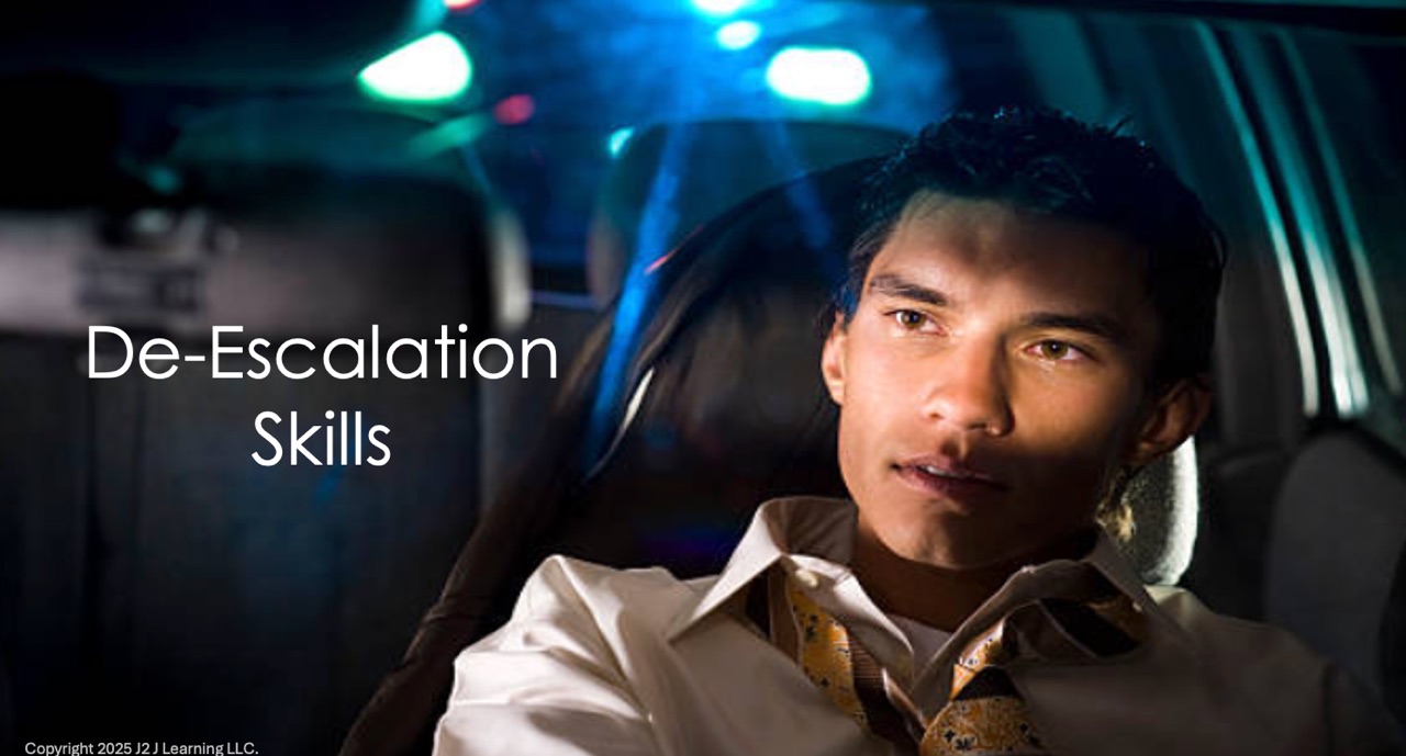 A driver stays calm and keeps still as police lights fill the car during a night-time traffic stop — a still from the de-escalation module.
